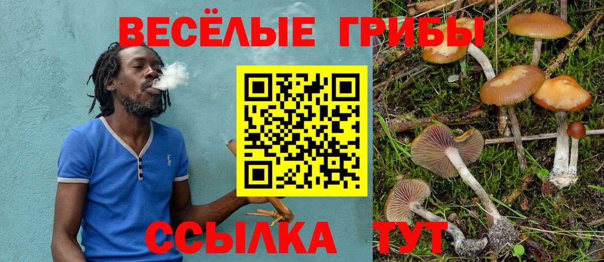 Галлюциногенные грибы мухоморы Нурлат